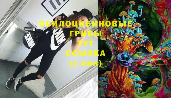 эйфоретик Михайловка