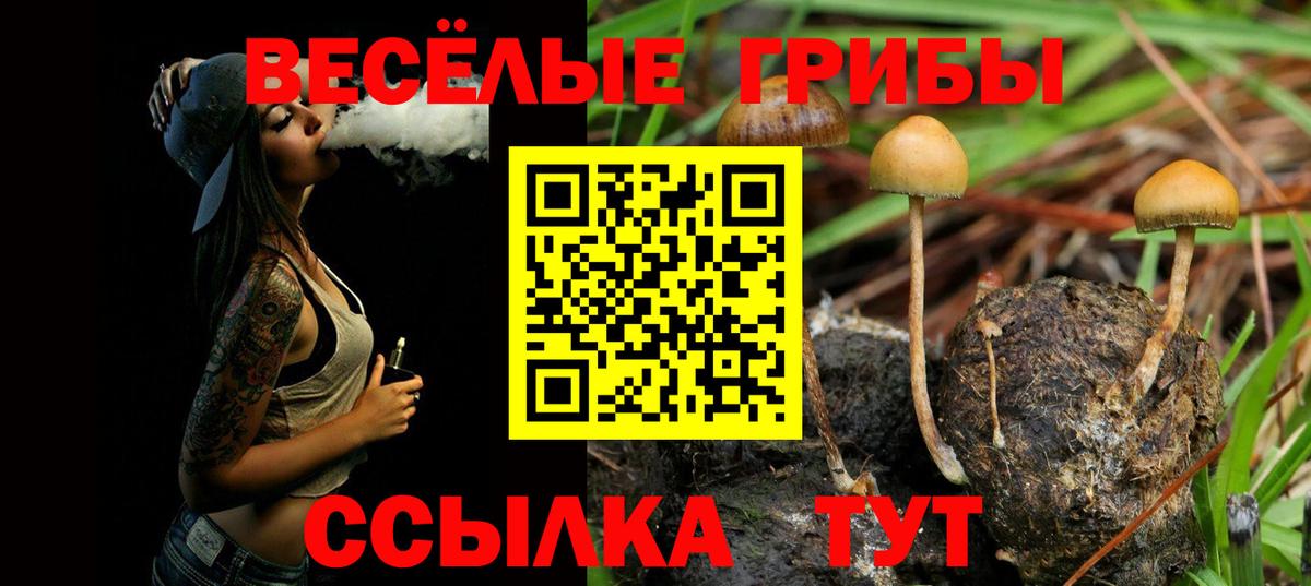 Галлюциногенные грибы Magic Shrooms  Вход с VPN  Галлюциногенные грибы GOLDEN TEACHER  Иркутск 